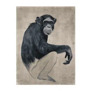 affiche papier recyclé dessin d'un singe