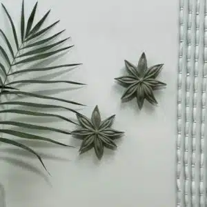 Fleur d'Anis Janis en Céramique Vert Provence - Monochromic