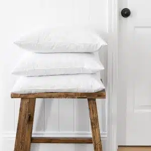 Garnissage Coussin Plumes Canard