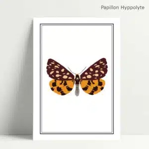 Carte Imprimée Papillon Hippolyte