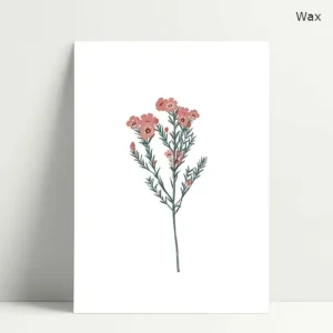 Carte Imprimée Wax