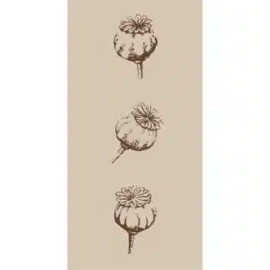 Serviettes en Papier Gousses de pavot IB Laursen
