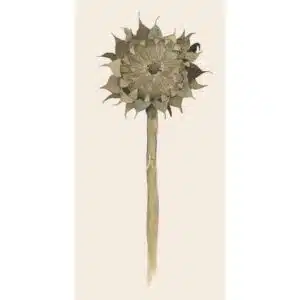 Serviettes en Papier Tournesol IB Laursen