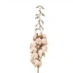 Cloche de Yucca Fleur Artificielle Beige