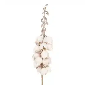 Cloche de Yucca Fleur Artificielle Blanc