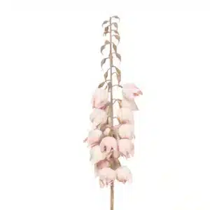 Cloche de Yucca Fleur Artificielle Rose