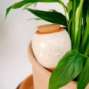 Olla Hydratante en Céramique Blanc Grainé - Pepin