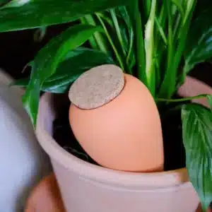 Olla Hydratante en Céramique Terracotta - Pepin
