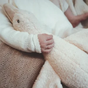 Peluche Bruits Blancs Oie