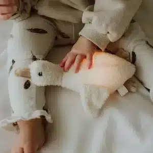 Peluche Lumineuse Oie
