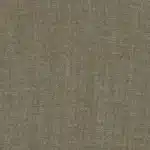 Sahara Olive