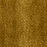Vogue Ambre
