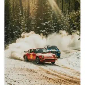 Affiche Cold Speed, The Vision | Image Republic