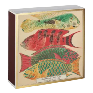 Allumettes Fish - Archivist Gallery